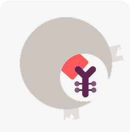 Graphic of ELAHERE internalized into cell