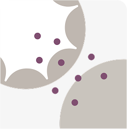 DM4 diffuses across the cell membrane and kills neighboring cells (bystander killing)