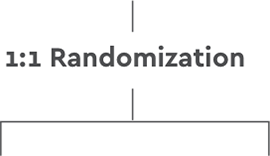 1:1 Randomization